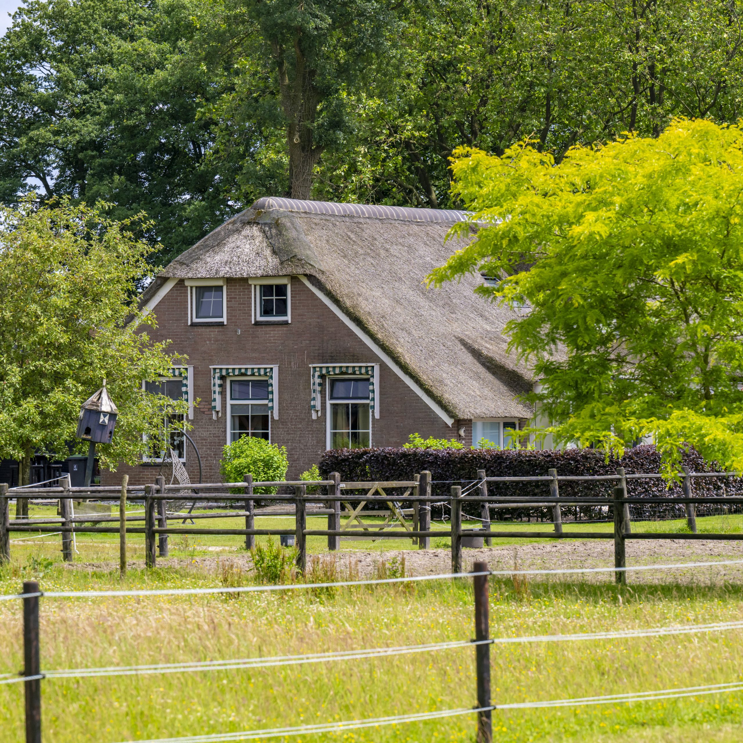 Dalerveen