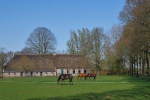 Olde Hoek Wachtum
